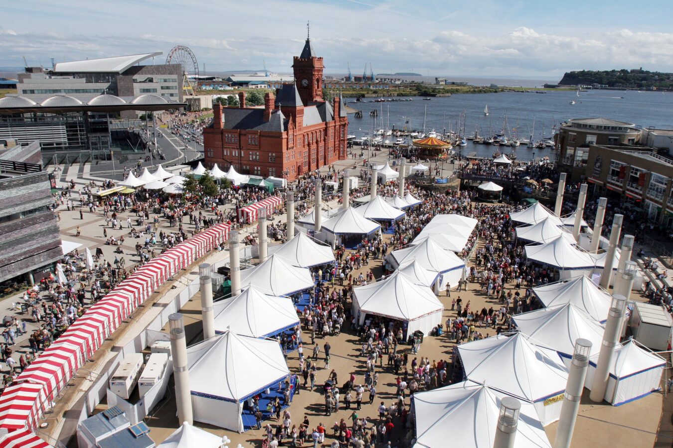 A bird’s eye view of Roald Dahl Plas