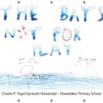Charlie P, Ysgol Gynradd Howardian - Howardian Primary School