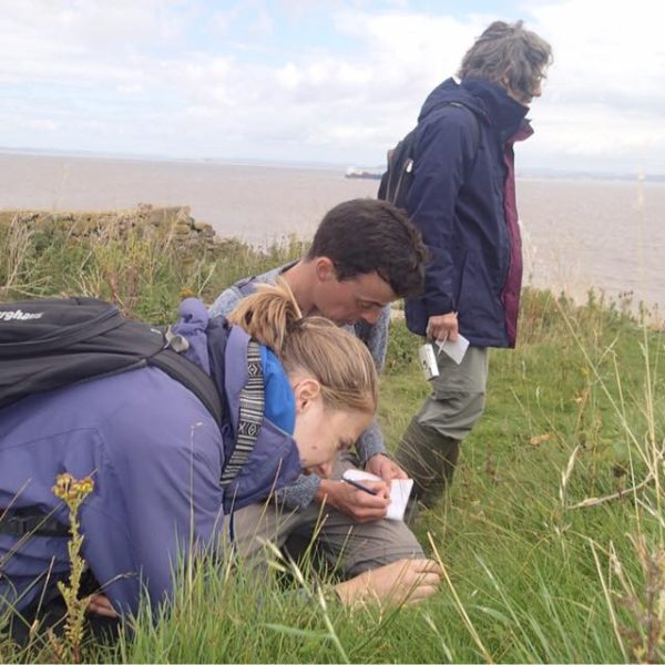 Flat Holm