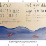Eva W, Ysgol Gyfun Gymraeg Plasmawr