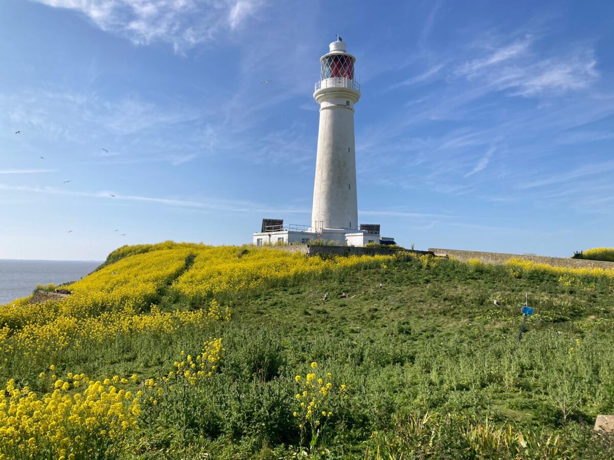 Flat Holm: A Walk Through Time