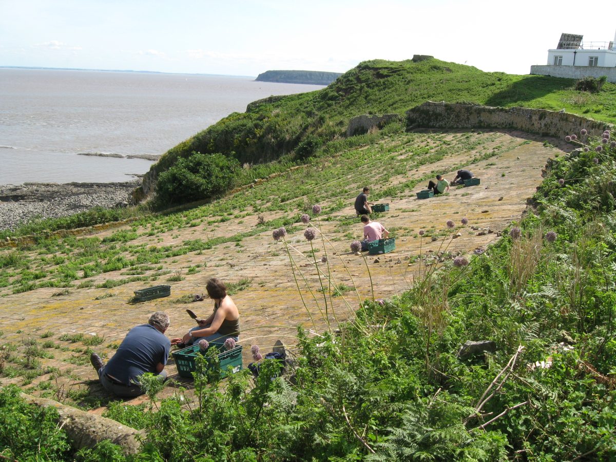 Island life! Conservation Volunteer Experience
